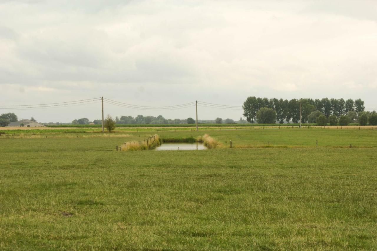 De Goudmijn Villa Diksmuide Luaran gambar