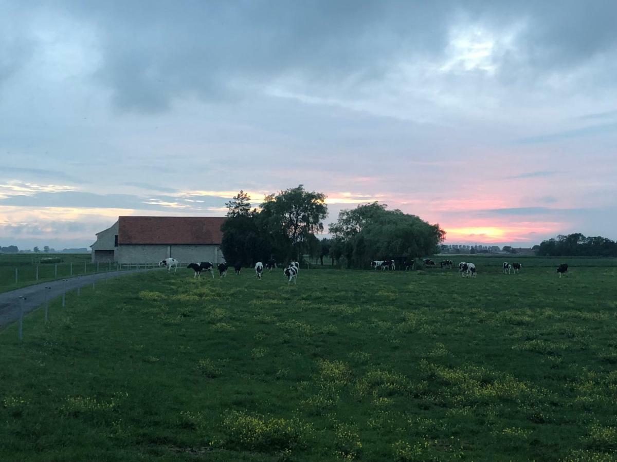 De Goudmijn Villa Diksmuide Luaran gambar